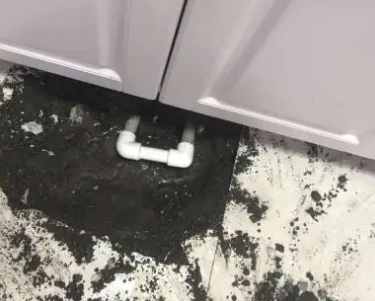 百色查漏水哪家好